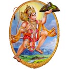 "Hanuman Herbs" T-Shirt